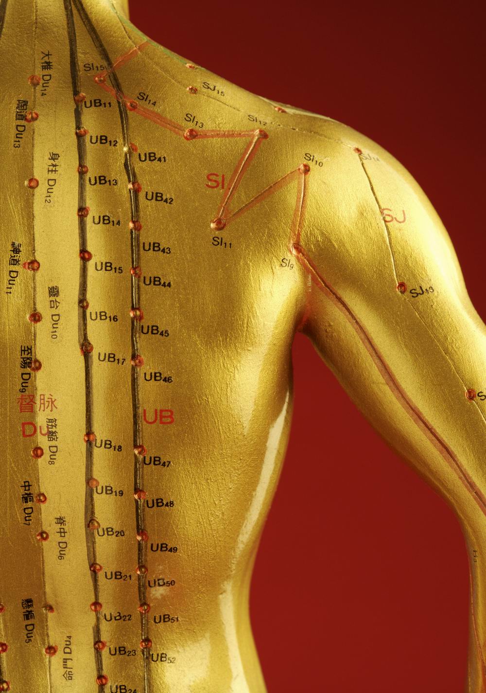 Acupuncture | TCM Health Care Centre